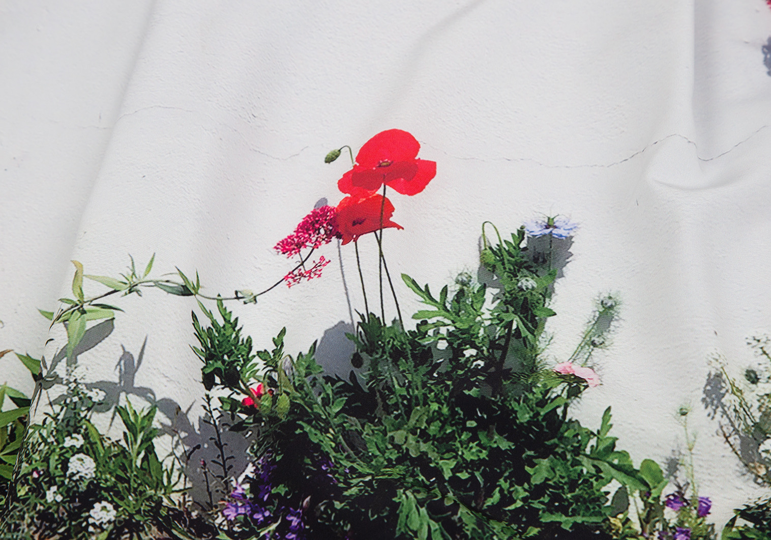美品‼️ アニエスｂ. PARIS ボックススカート 赤色花柄 - ひざ丈スカート